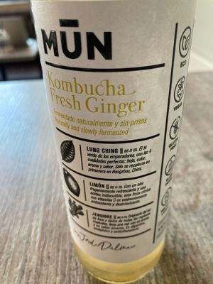 They have 2 flavors of kombucha (vegan & organic), the ginger one I took was good at Faborit in Madrid