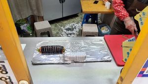 Kimbap in the making at Bomulseom Kimbap - 보물섬김밥 in Seoul