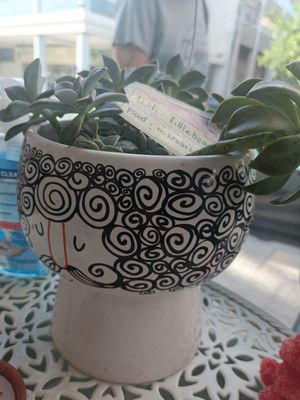  at Little Bear in Pireas