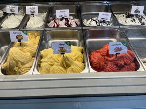 Vegan options clearly labelled  at La Nocciola in Tirana