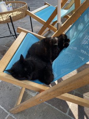   at Dada Caffe in Misano Adriatico