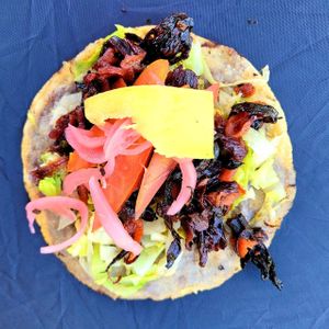 Flor de Jamaica salbute 
 at XKatik Vegano in Tulum