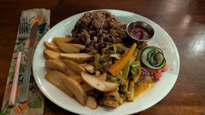 Saute veggies in Traditional Caribbean sauce with a side of rice & beans and papas, and a cute tiny raw salad. at El Sol Del Caribe in Puerto Viejo De Talamanca