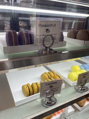  #Veganuary at Le Gourmand in Newtown