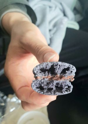 Lamington macaron - inside at Le Gourmand in Newtown