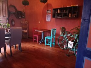 Cozzy at Tsunum De Luna in San Cristobal De Las Casas