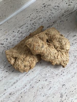   at Nasty de Plastic in Valencia