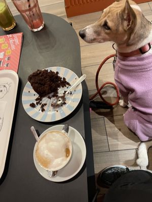   at Emilie and the Cool Kids in Reims