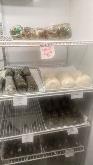  at Mangala in Montreal