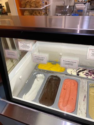 Vegan sorbet offerings at Sweet Republic in Phoenix
