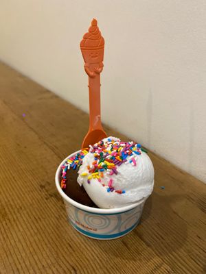 Vegan chocolate sorbet and vegan coconut sorbet - free sprinkles! at Sweet Republic in Phoenix