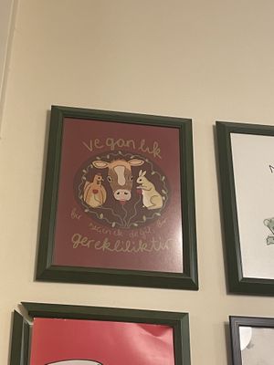   at Vegan Masa in Istanbul