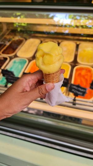  at Sago Balat in Istanbul