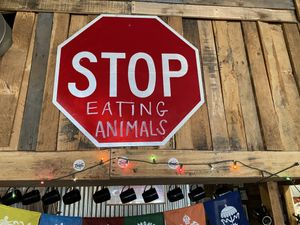 ❤️  at Imagine Vegan Cafe in Memphis