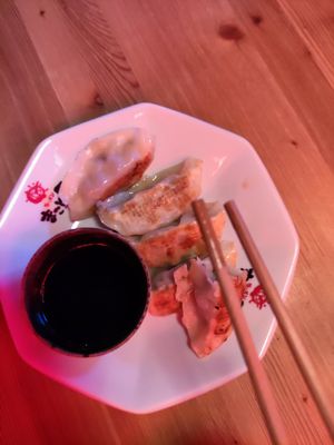 Gyoza at Ramen Makotoya in Vienna