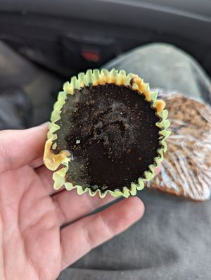Peanut butter cup at Bear's Paw Bakery in Jasper