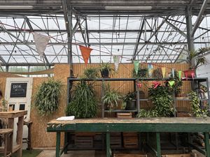 Mooi groen   at Kweekcafé in Haarlem