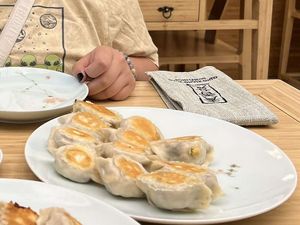 Tofu, cabbage, and mushroom dumplings at Qing Xiang Yuan Dumplings in Chicago