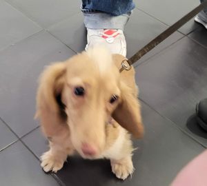  at Cloud Cakes -  Notre Dame de Lorette in Paris