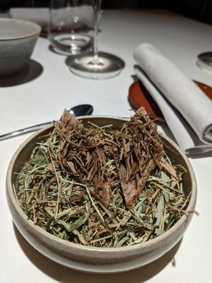 Truffe at Reflet d'Obione in Montpellier