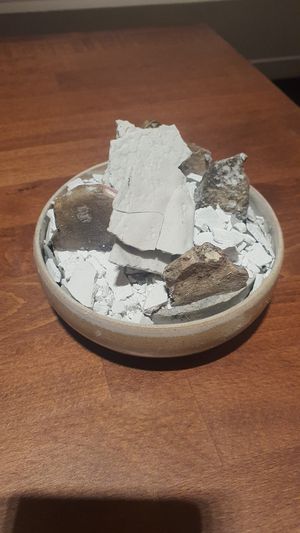  at Reflet d'Obione in Montpellier