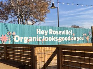 View from the patio. Sign blocks the line of cars going through the drive thru   at Amy's Drive Thru in Roseville
