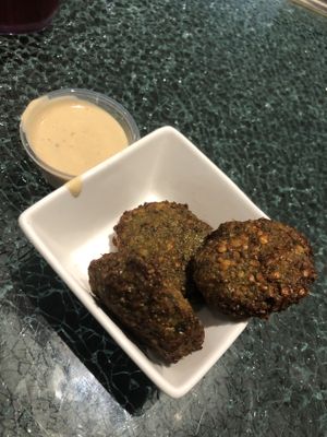 Falafel  at Pita Jungle in Tucson