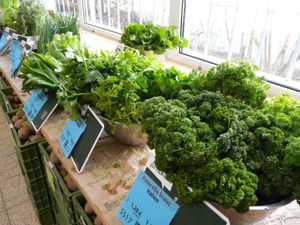 We sell fresh herbs (in bunches) as well. at VG Biomarkt Strehlen in Dresden