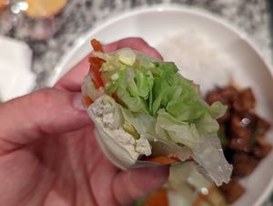 Tofu Spring Roll at Mei's Kitchen in El Paso
