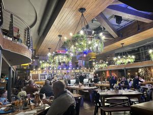 Spacious lively beer garden area for diningg  at Brewhemia in Edinburgh