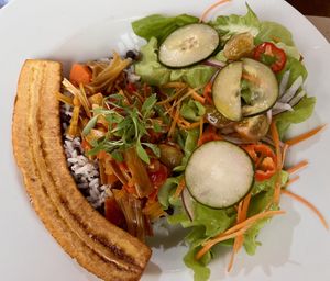 Mono Chiricano - beautiful, but tough jackfruit   at Ngadri in Boquete