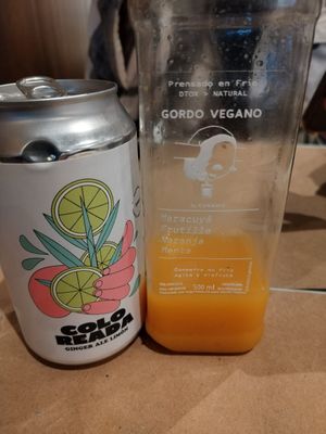 Juice & kombucha at Gordo Vegano in Buenos Aires