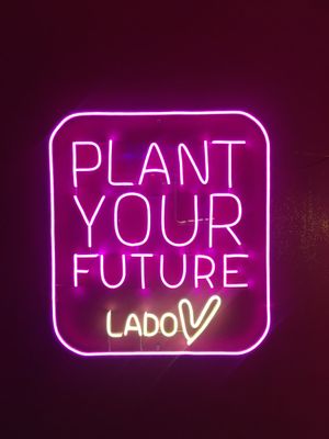   at Lado V in Buenos Aires