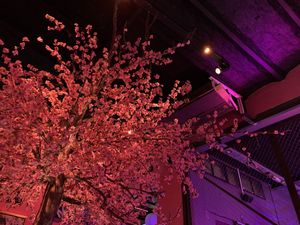   at Lado V in Buenos Aires