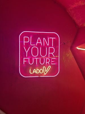  at Lado V in Buenos Aires