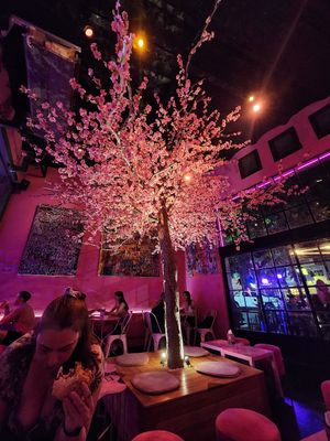  at Lado V in Buenos Aires