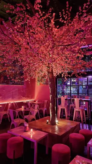  at Lado V in Buenos Aires