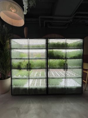 Plants and herbs  at ChouChou in Stockholm