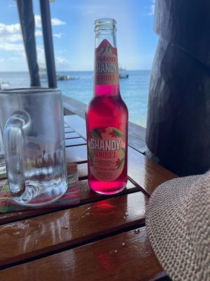 Shandy - always light and refreshing.  I tried several flavours but the passionfruit always eluded me. at Trou Au Diable in Soufriere