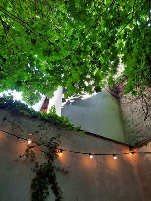 Hinterhof at Julis Spätzlerei in Passau