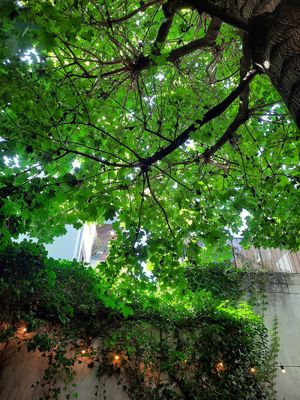  at Julis Spätzlerei in Passau