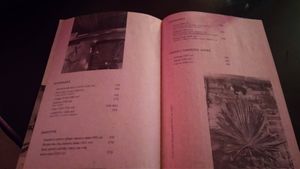 Menu 4 at Vmesto Cafe - Maybe closed in St Petersburg