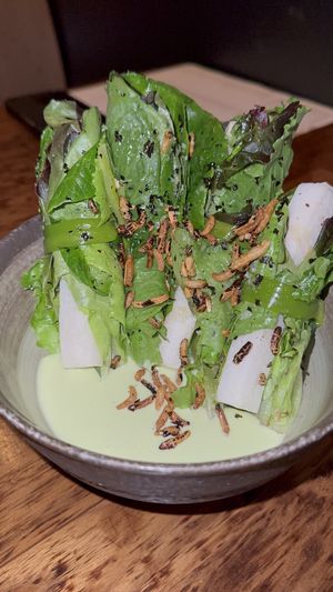 Uchi Salad  at Uchi in Austin