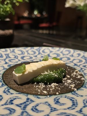 Silken tofu on holy basil pesto. Part of set menu “Vietnam” (950k VND)  at Cổ Đàm Chay in Hanoi