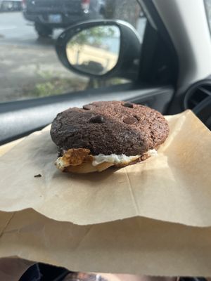   at greenhouse coffee + plants in Corvallis