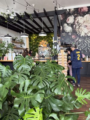   at greenhouse coffee + plants in Corvallis