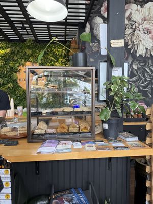   at greenhouse coffee + plants in Corvallis