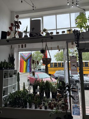   at greenhouse coffee + plants in Corvallis