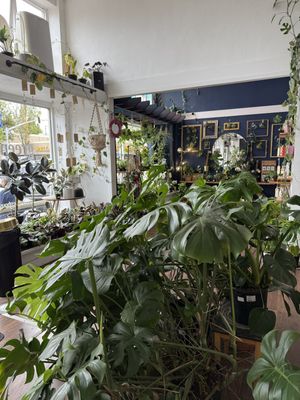   at greenhouse coffee + plants in Corvallis