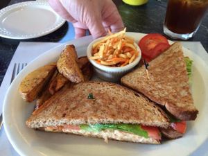 tuna salad sandwich with fries at The Cheeze Factory Restaurant in Baraboo